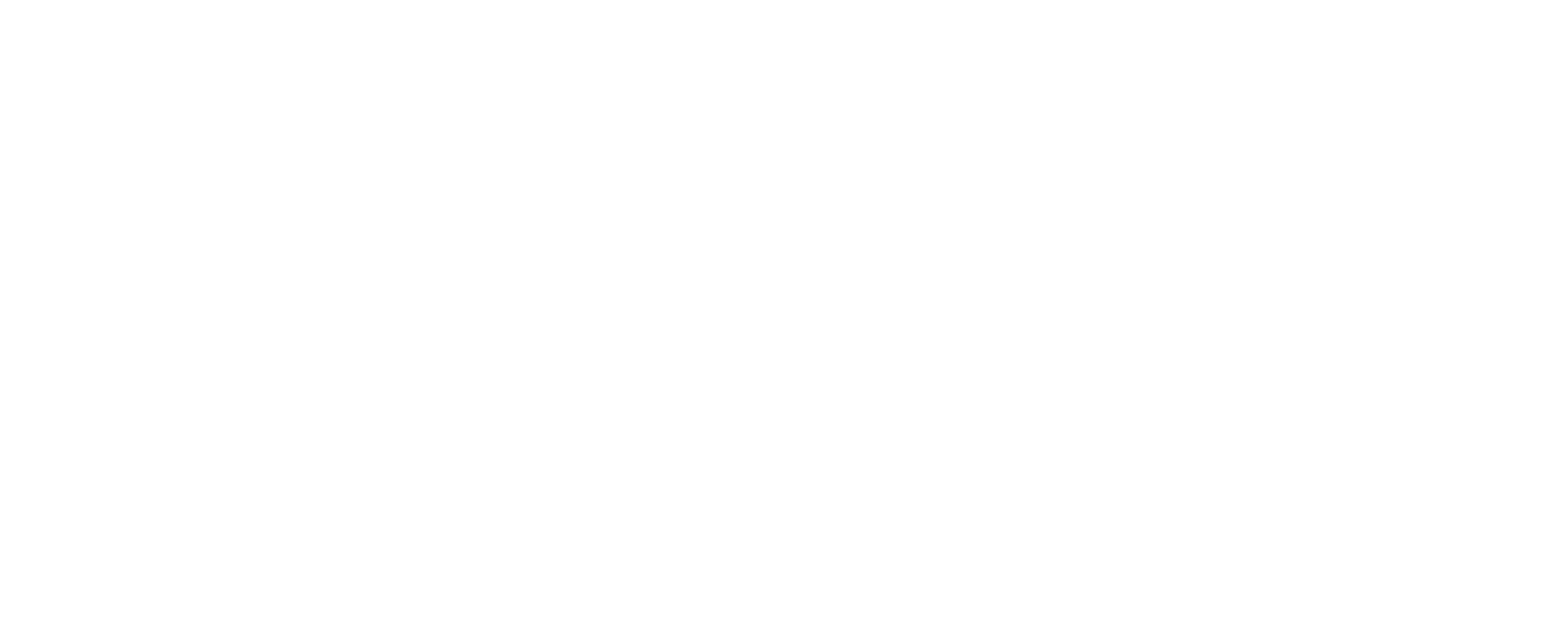 MTC Cappellini